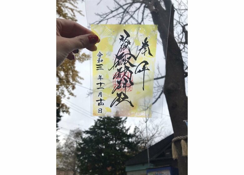 提供：ひろこさん