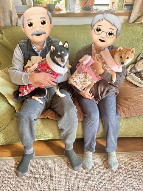 提供：豆柴あさのんさん