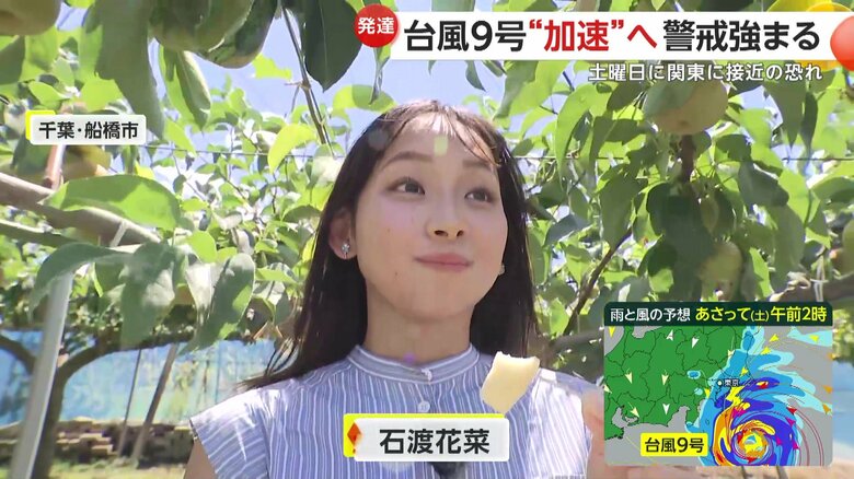 梨を試食する石渡花菜キャスター