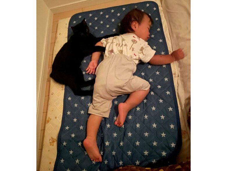 提供：ゴンゾウR4さん