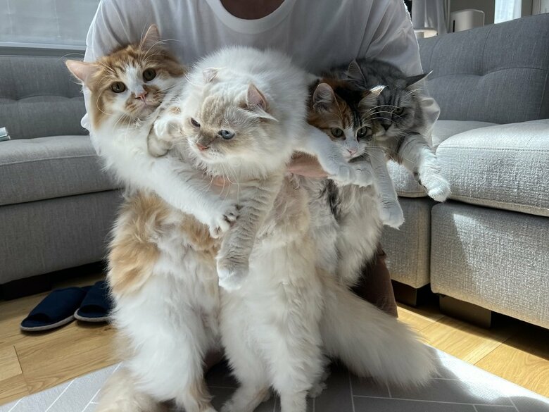幸せの重み