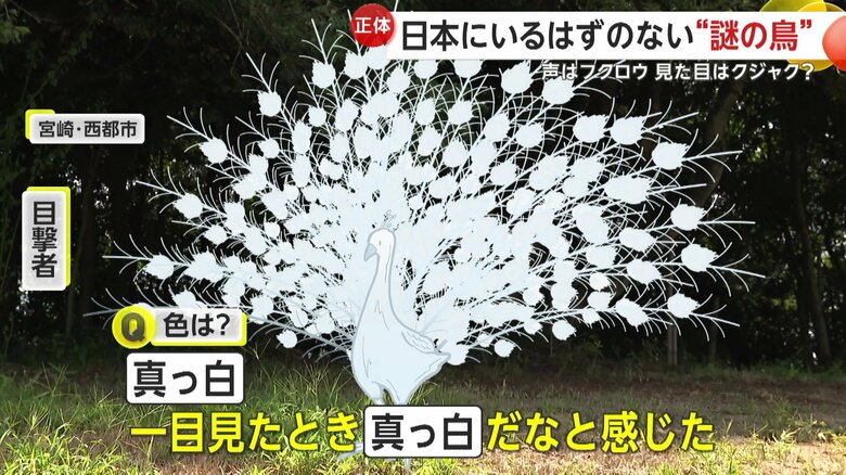 「一目見たとき、真っ白だなと感じた」と話している撮影者