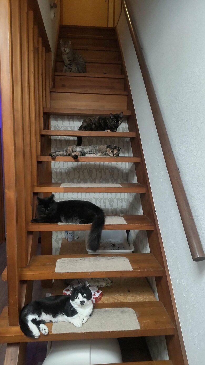 階段はこんな状態になることもある