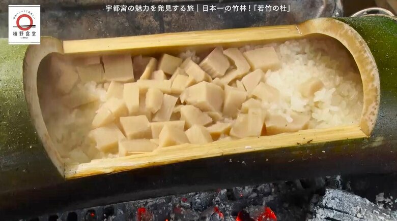 竹筒の飯ごうでタケノコご飯を堪能