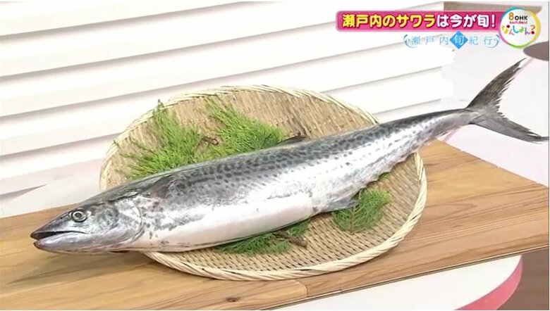 流線形のフォルム