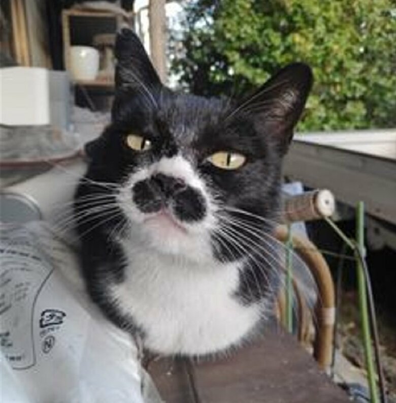 ポッキーちゃん