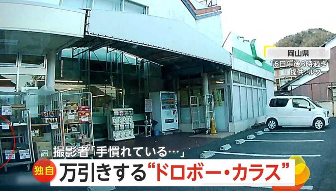 カラスが店頭のカップ麺をくわえて飛び立つ瞬間（16日午後3時過ぎ、岡山県のスーパーマーケット）⑦
