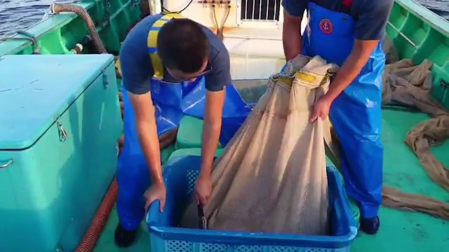 着実に漁師の道を歩む原さんの存在は”希望”