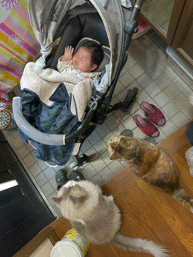 提供：エルモとみみりんさん