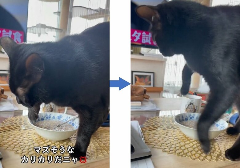 ウロウロしながら入念にカキカキ