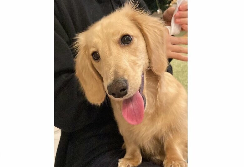 提供：___0516.wanさん