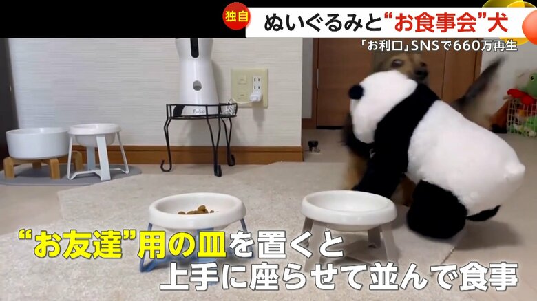 ぬいぐるみを上手に座らせて並んでご飯を食べられるようになった