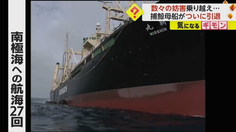 海に浮かぶ捕鯨母船「日新丸」　南極海への航海は27回にのぼった