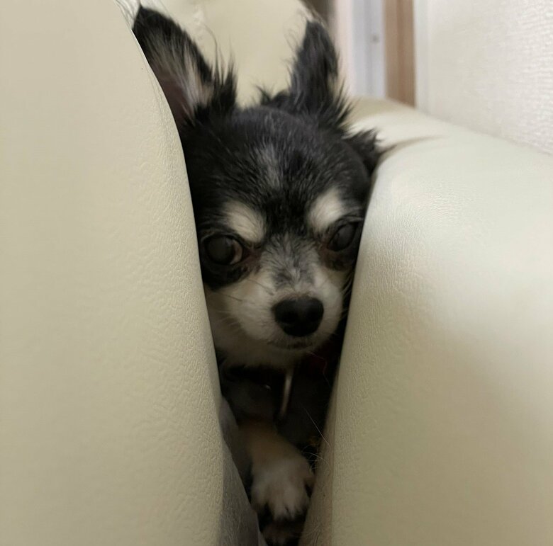 間に挟まってしまうことも