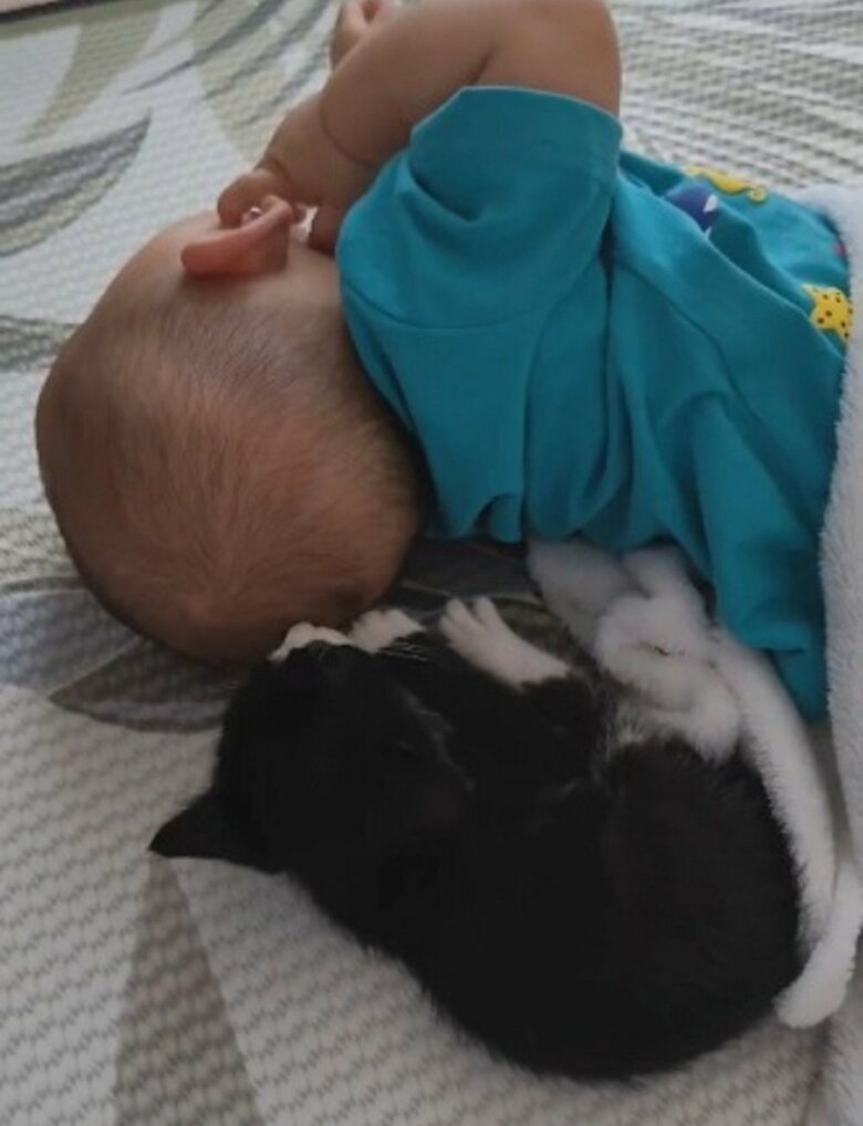 一緒に寄り添っておやすみ