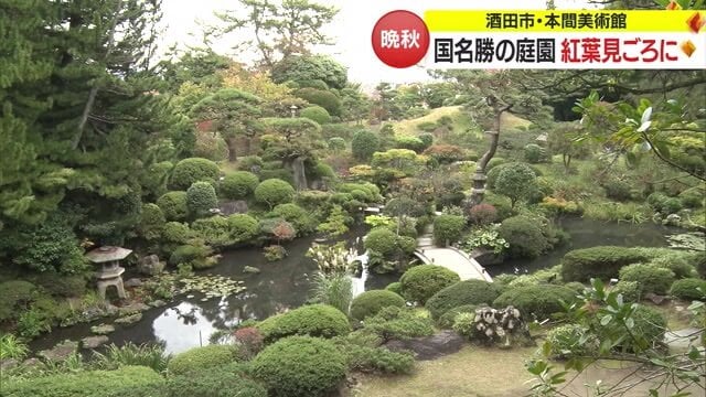 本間美術館の庭園