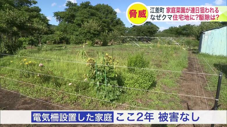 電気柵を設置した家庭ではここ2年被害なし
