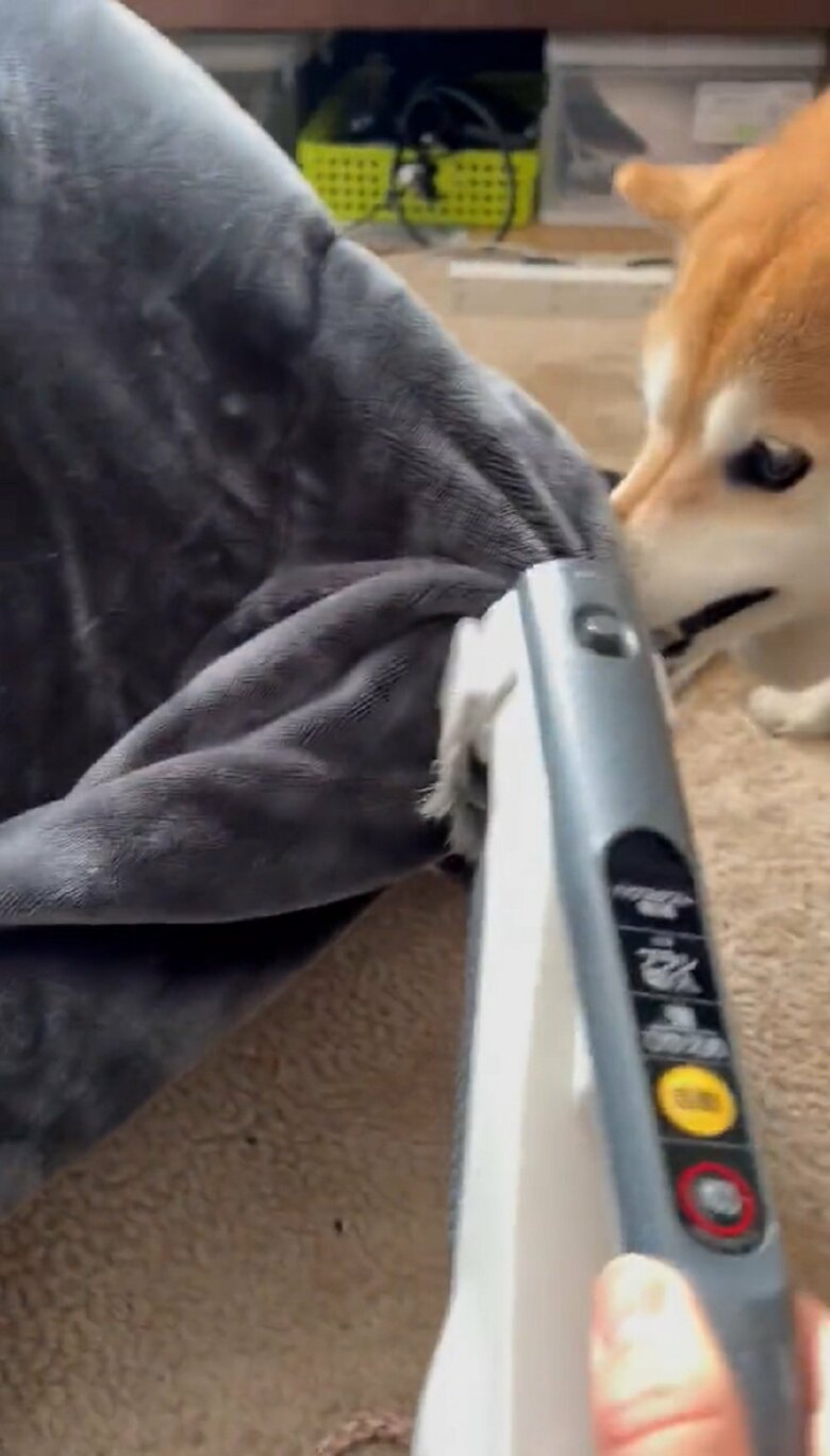 グイっと引き離す