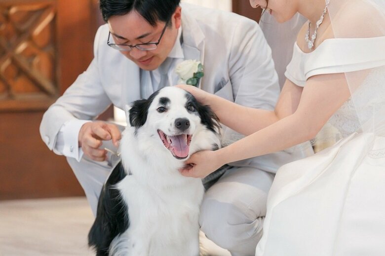 結婚式にリングドックを務めた