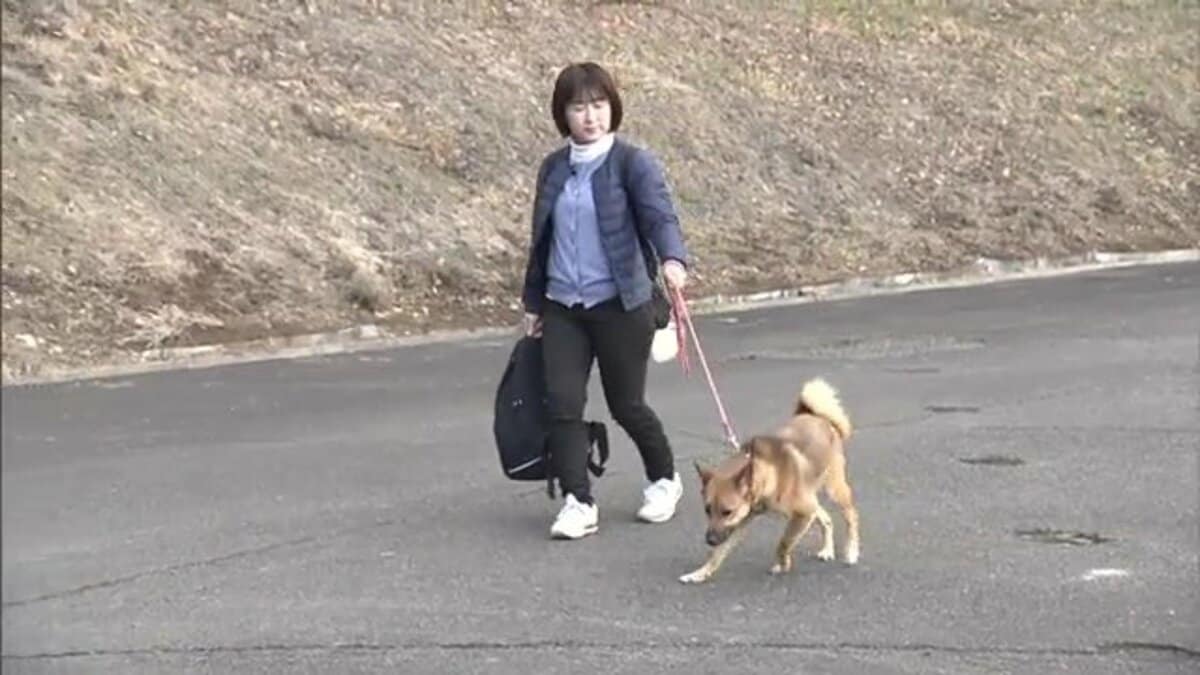 オファー 山梨 避難 ペット