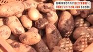 米国産ジャガイモの輸入解禁手続き進む　鹿児島県知事「解禁されれば国に対策要請へ」