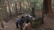 源頼朝に知られざる弟がいた…「忘れ去られた人物」29歳で生涯を閉じた武将・源希義の足跡【高知発】
