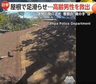 「こんなことになるなんて」屋根上で身動き取れない高齢男性、壁の隙間に落ちた子犬…相次ぐ“救出劇”の一部始終　アメリカ