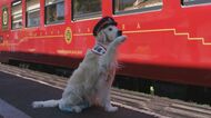 沢山の笑顔を…「犬の駅長」天国へ 献花台に多くの花やメッセージ 飼い主「天国でびっくりしてると思う」