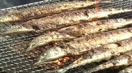 宮古サンマまつり 秋の味覚に舌鼓<岩手・宮古市>