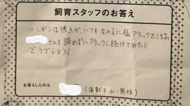 「ペンギンは彼氏がいても猛アタック」“生き物の生態”に絡めた京都水族館の恋愛相談が話題