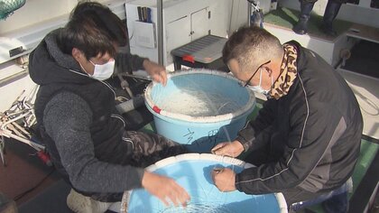 「乗組員に給料払えない」高級魚クエやトラフグ価格が大幅下落　大打撃の玄界島漁業　将来にも暗雲