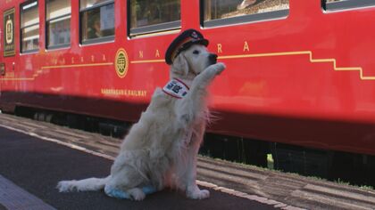 沢山の笑顔を…「犬の駅長」天国へ　献花台に多くの花やメッセージ　飼い主「天国でびっくりしてると思う」