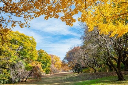 3連休は「高気圧リレー」で空気はカラッと秋晴れ続く　全国的に気温高め　寒暖差にも注意