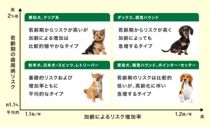 ペット保険データを用いた歯周病リスクに関する大規模研究成果が国際学術誌に掲載