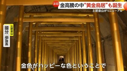 金のパワーもらえそう」50本ズラリ「黄金鳥居」が話題…伊豆・土肥金山