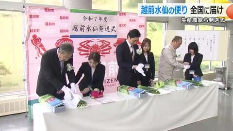 越前水仙、見に来てね　全国の友好都市や旅行会社に発送　猛暑の影響なく出荷量は去年の2倍　17日から越前海岸で「水仙まつり」