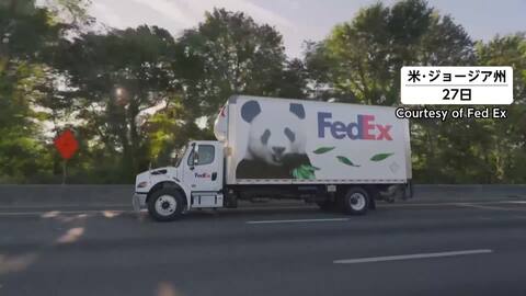 中国から貸与のパンダ2頭がアメリカに到着　「ピンピン」と「フーシュアン」アトランタ動物園で今後10年間飼育へ