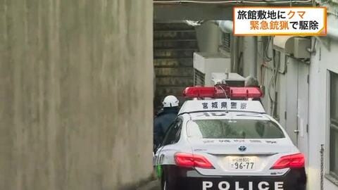 「ごみをあさっている」温泉旅館の敷地にとどまったクマ　緊急銃猟で駆除　仙台市では２例目