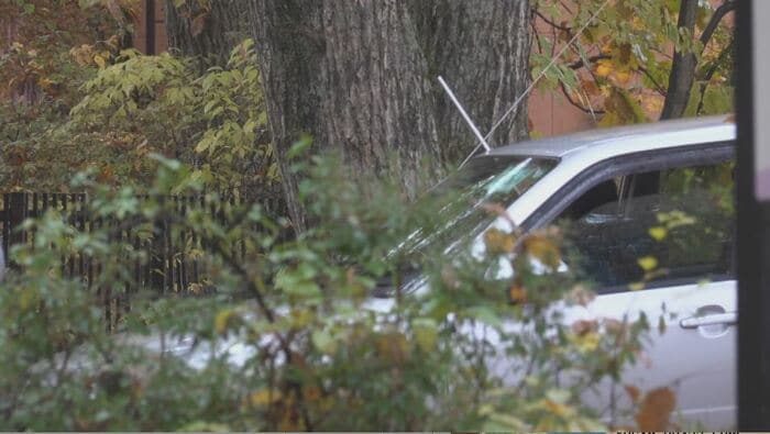 車の中から吹き矢で麻酔を打つ