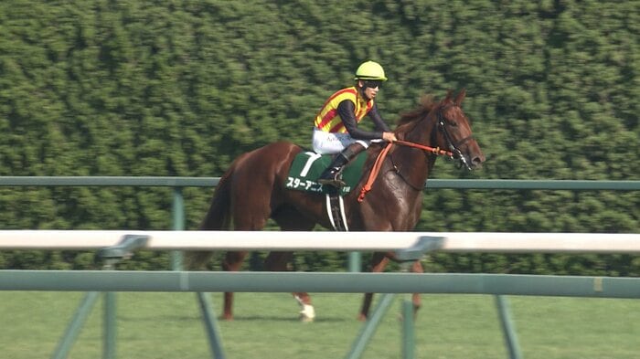 中京2歳S2着スターアニス