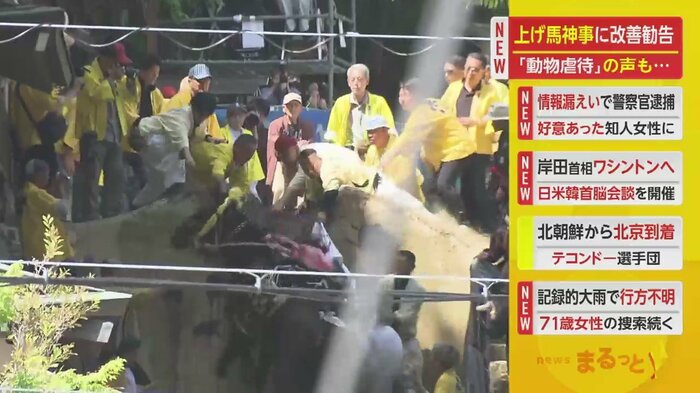 あと一歩のところで上り切れず、バランスを崩し落馬