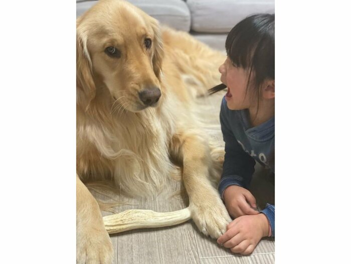 ルークくんとふたばちゃん(提供:西村 まひろさん)