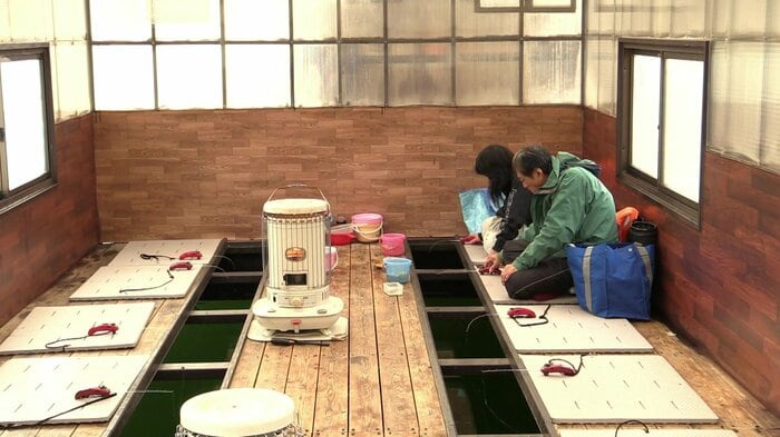 ハウス内は暖房完備