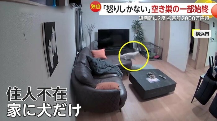 異変を察知した飼い犬は逃げ出した