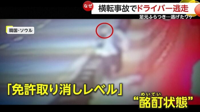 飲酒運転を行い逃走していたドライバー(提供:ソウル警察庁)