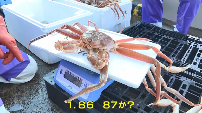基準を大きく上回る大物に沸き立つ船