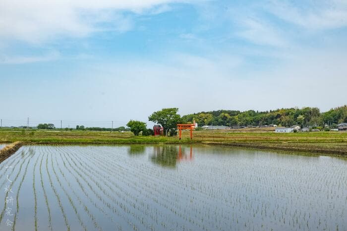 茨城県・塚田稲荷神社（2025年5月撮影）