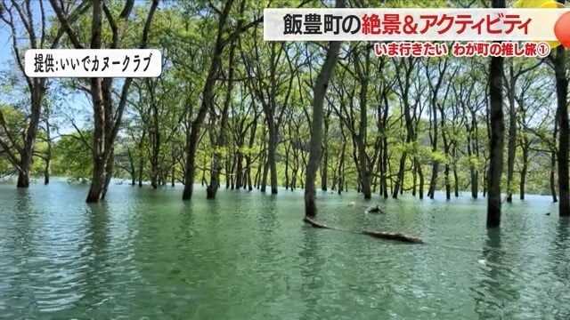 春だけ、2カ月限定の神秘的な風景・飯豊町白川湖の「水没林」