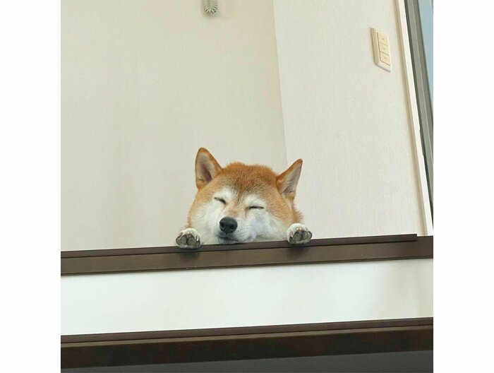 提供:橋本真実さん