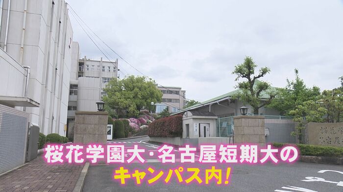 ニュースONE